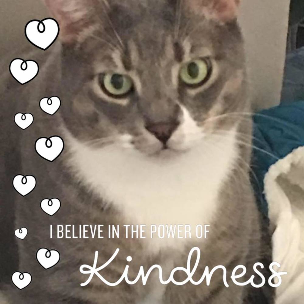 Meet your Posher, Christine